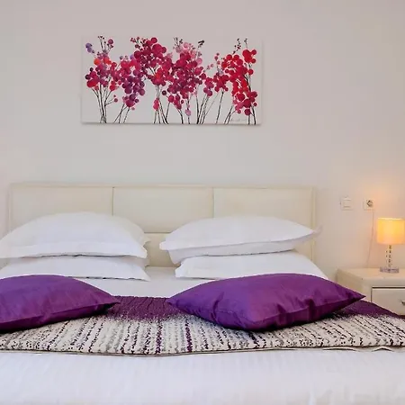 Palomar Luxury *