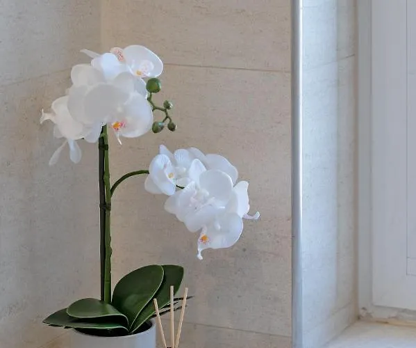 Palomar Luxury * Split