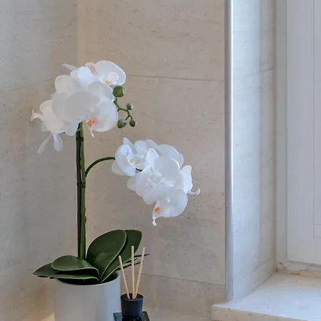 Palomar Luxury * Spalato